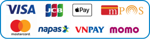 visa icon surfacehcm
